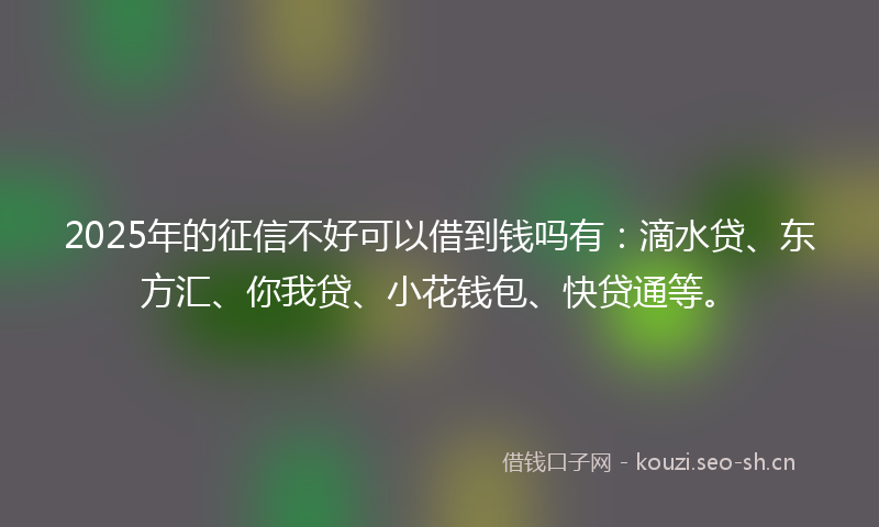 2025年的征信不好可以借到钱吗有：滴水贷、东方汇、你我贷、小花钱包、快贷通等。