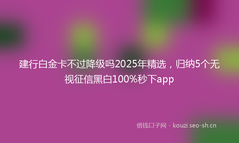 建行白金卡不过降级吗2025年精选，归纳5个无视征信黑白100%秒下app