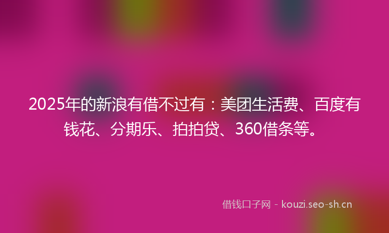 2025年的新浪有借不过有：美团生活费、百度有钱花、分期乐、拍拍贷、360借条等。