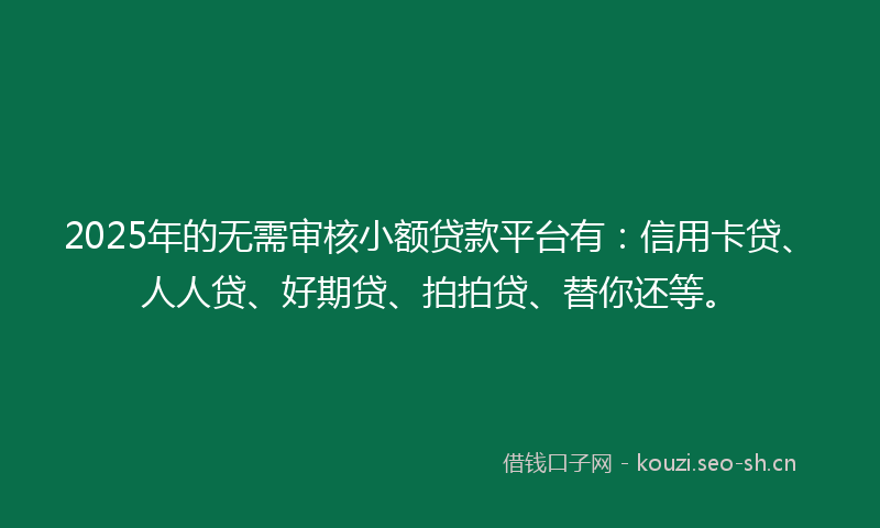 2025年的无需审核小额贷款平台有：信用卡贷、人人贷、好期贷、拍拍贷、替你还等。