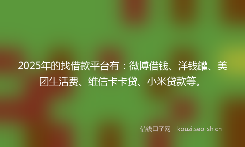 2025年的找借款平台有：微博借钱、洋钱罐、美团生活费、维信卡卡贷、小米贷款等。