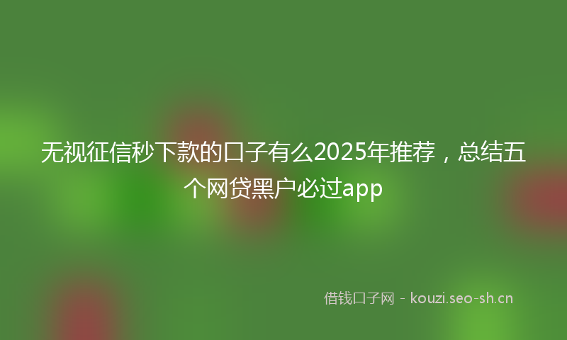 无视征信秒下款的口子有么2025年推荐，总结五个网贷黑户必过app