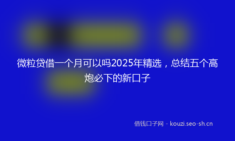 微粒贷借一个月可以吗2025年精选，总结五个高炮必下的新口子
