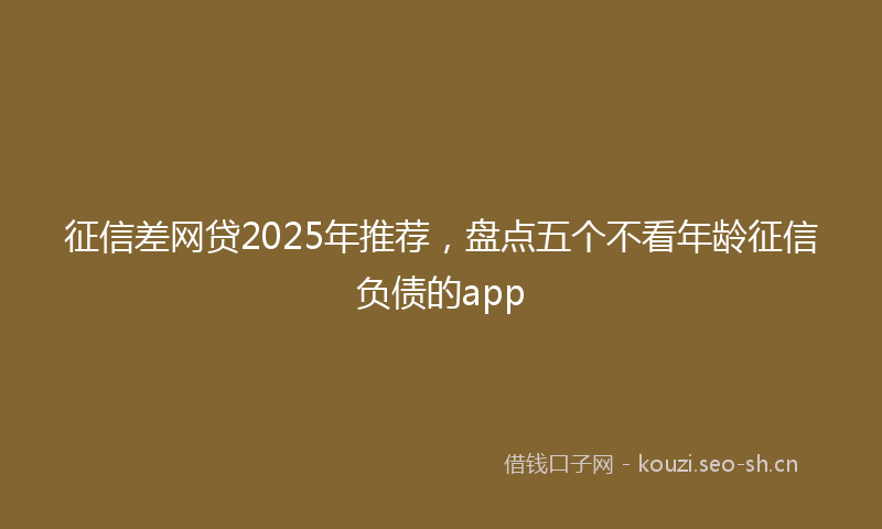征信差网贷2025年推荐，盘点五个不看年龄征信负债的app