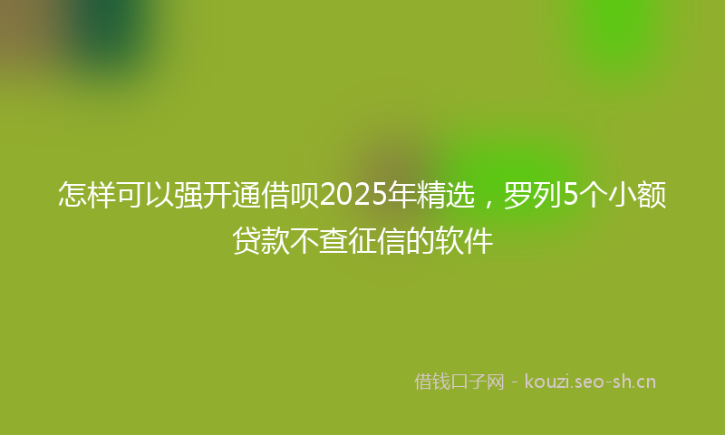怎样可以强开通借呗2025年精选，罗列5个小额贷款不查征信的软件