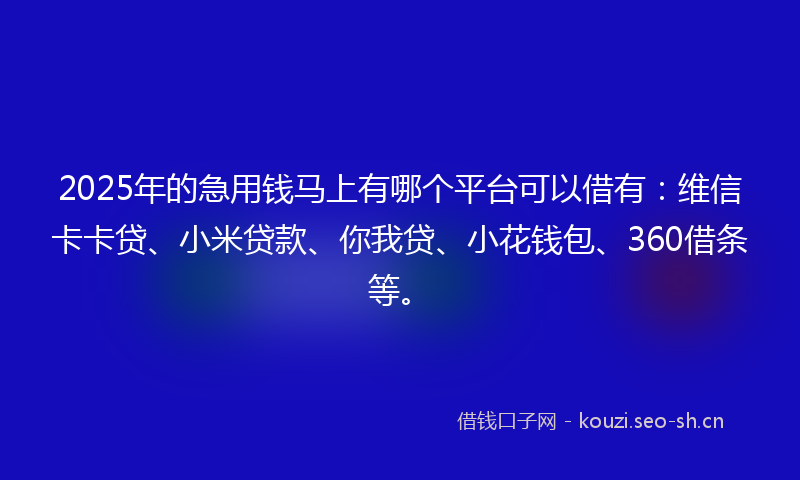 2025年的急用钱马上有哪个平台可以借有：维信卡卡贷、小米贷款、你我贷、小花钱包、360借条等。