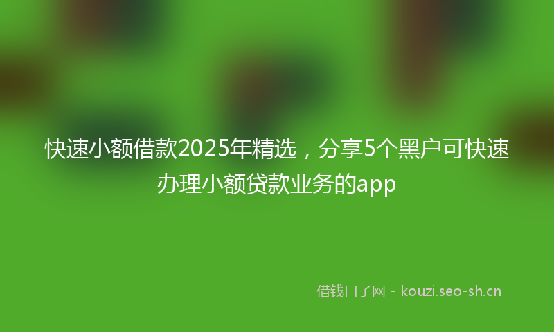 快速小额借款2025年精选，分享5个黑户可快速办理小额贷款业务的app