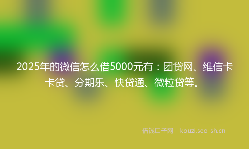 2025年的微信怎么借5000元有：团贷网、维信卡卡贷、分期乐、快贷通、微粒贷等。