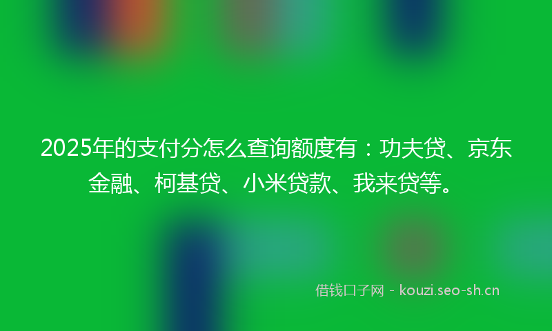 2025年的支付分怎么查询额度有：功夫贷、京东金融、柯基贷、小米贷款、我来贷等。