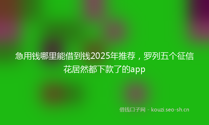 急用钱哪里能借到钱2025年推荐，罗列五个征信花居然都下款了的app