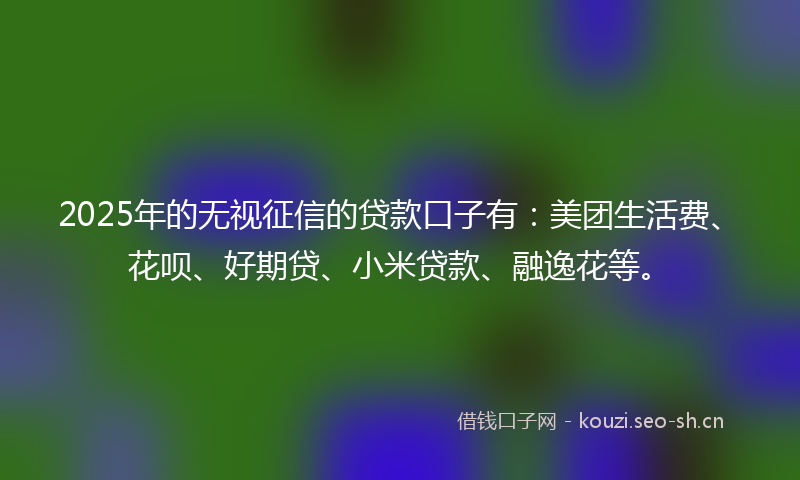 2025年的无视征信的贷款口子有：美团生活费、花呗、好期贷、小米贷款、融逸花等。