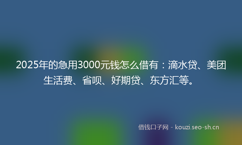 2025年的急用3000元钱怎么借有：滴水贷、美团生活费、省呗、好期贷、东方汇等。