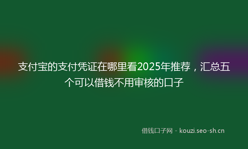 支付宝的支付凭证在哪里看2025年推荐，汇总五个可以借钱不用审核的口子