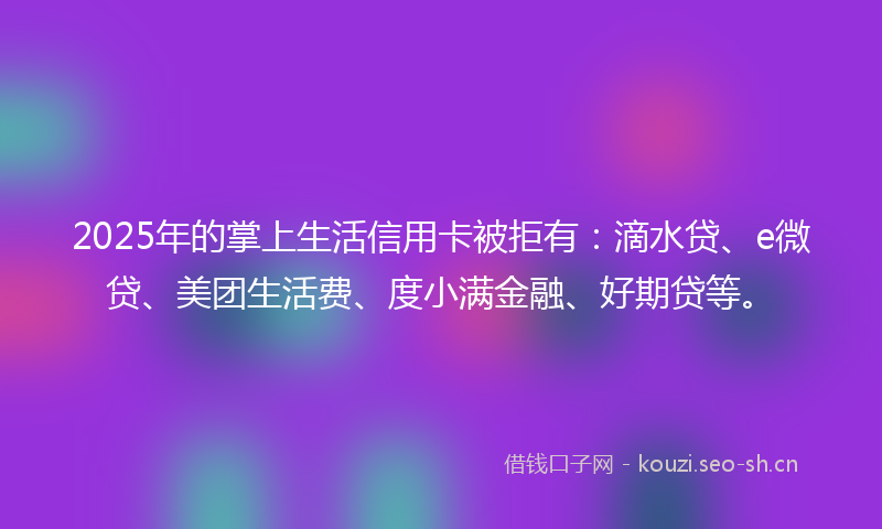 2025年的掌上生活信用卡被拒有：滴水贷、e微贷、美团生活费、度小满金融、好期贷等。