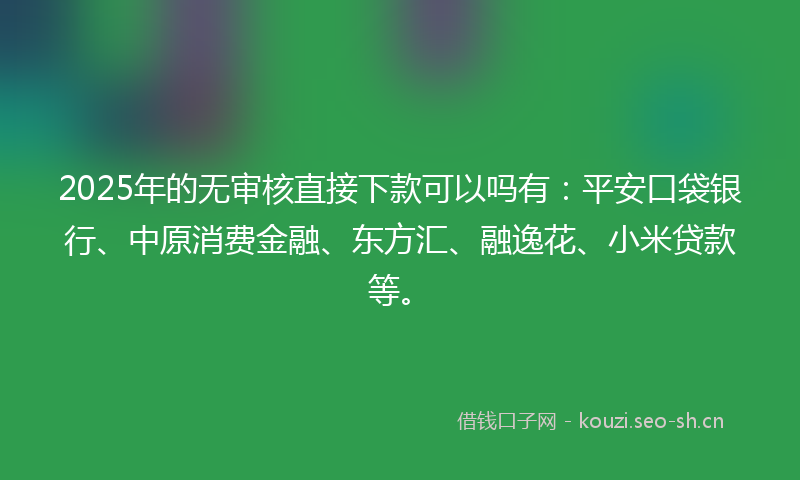 2025年的无审核直接下款可以吗有：平安口袋银行、中原消费金融、东方汇、融逸花、小米贷款等。