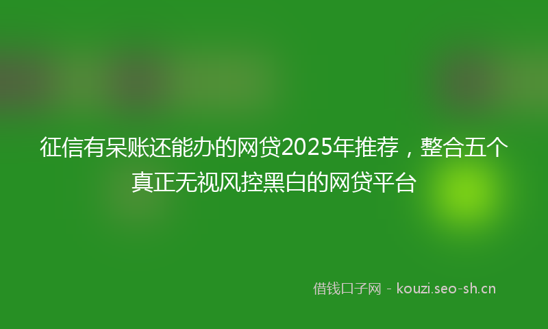 征信有呆账还能办的网贷2025年推荐，整合五个真正无视风控黑白的网贷平台