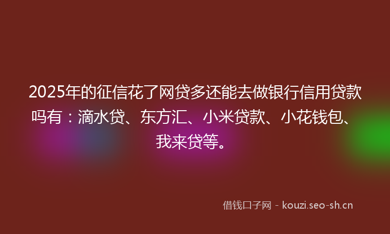 2025年的征信花了网贷多还能去做银行信用贷款吗有：滴水贷、东方汇、小米贷款、小花钱包、我来贷等。