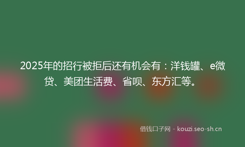 2025年的招行被拒后还有机会有：洋钱罐、e微贷、美团生活费、省呗、东方汇等。