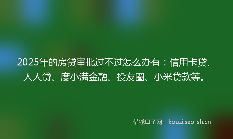 2025年的房贷审批过不过怎么办有：信用卡贷、人人贷、度小满金融、投友圈、小米贷款等。