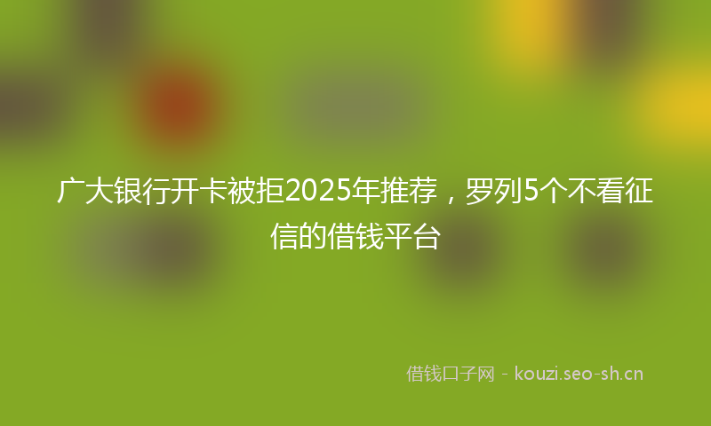广大银行开卡被拒2025年推荐，罗列5个不看征信的借钱平台