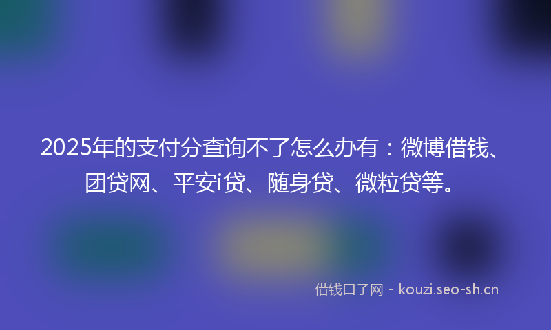 2025年的支付分查询不了怎么办有：微博借钱、团贷网、平安i贷、随身贷、微粒贷等。