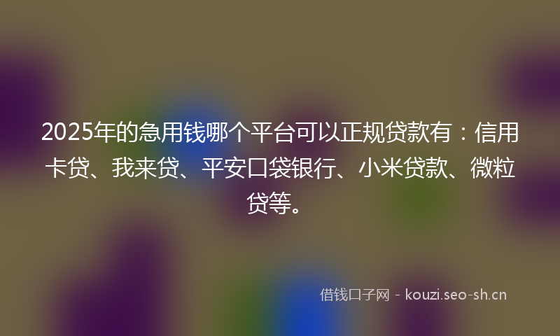 2025年的急用钱哪个平台可以正规贷款有：信用卡贷、我来贷、平安口袋银行、小米贷款、微粒贷等。