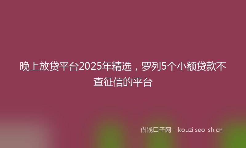 晚上放贷平台2025年精选，罗列5个小额贷款不查征信的平台