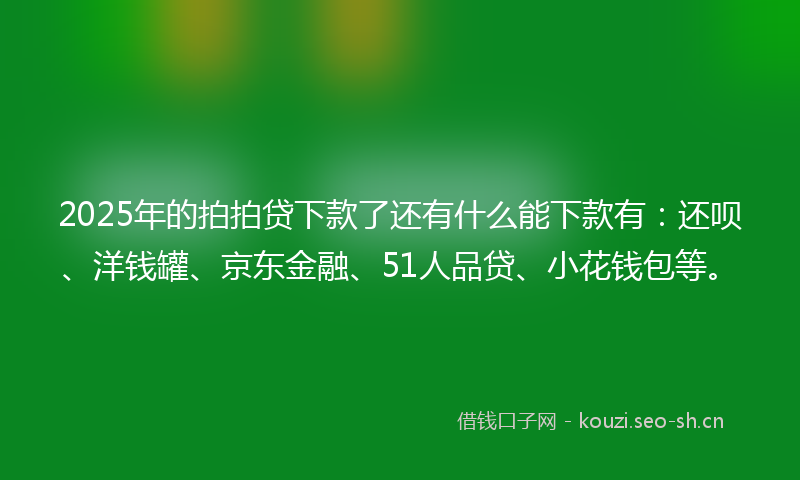 2025年的拍拍贷下款了还有什么能下款有：还呗、洋钱罐、京东金融、51人品贷、小花钱包等。