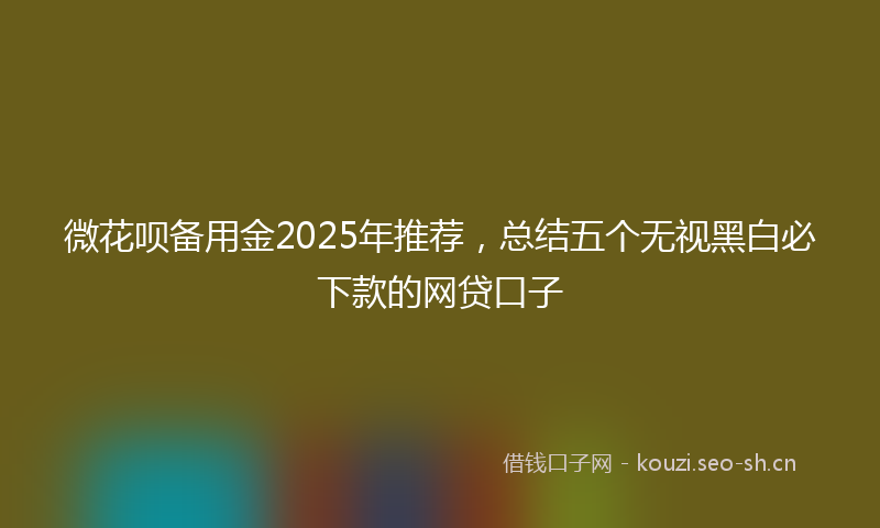微花呗备用金2025年推荐，总结五个无视黑白必下款的网贷口子