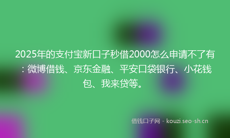 2025年的支付宝新口子秒借2000怎么申请不了有：微博借钱、京东金融、平安口袋银行、小花钱包、我来贷等。