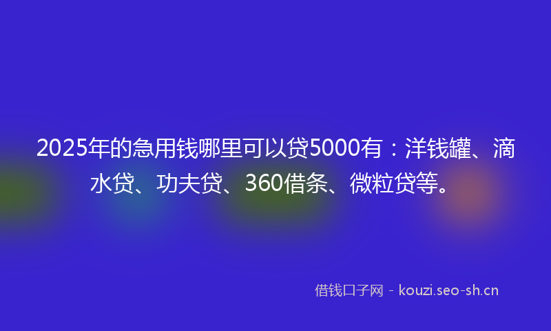 2025年的急用钱哪里可以贷5000有：洋钱罐、滴水贷、功夫贷、360借条、微粒贷等。