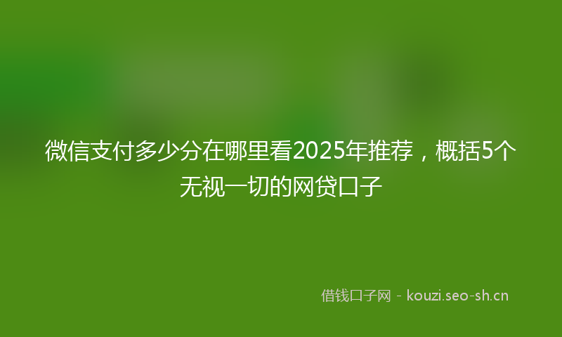 微信支付多少分在哪里看2025年推荐，概括5个无视一切的网贷口子
