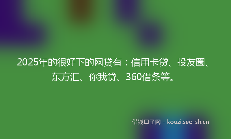 2025年的很好下的网贷有：信用卡贷、投友圈、东方汇、你我贷、360借条等。