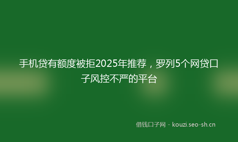 手机贷有额度被拒2025年推荐，罗列5个网贷口子风控不严的平台