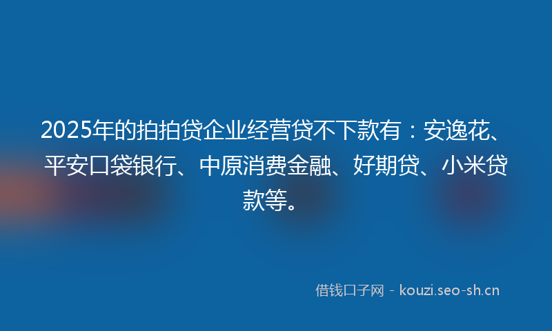 2025年的拍拍贷企业经营贷不下款有：安逸花、平安口袋银行、中原消费金融、好期贷、小米贷款等。