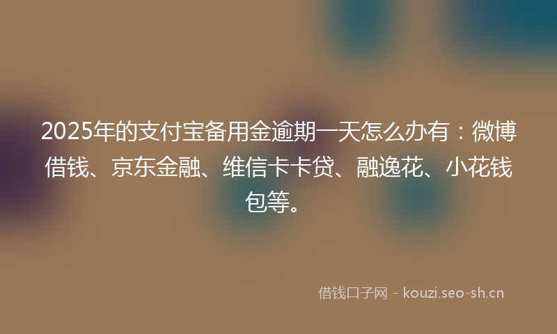 2025年的支付宝备用金逾期一天怎么办有：微博借钱、京东金融、维信卡卡贷、融逸花、小花钱包等。
