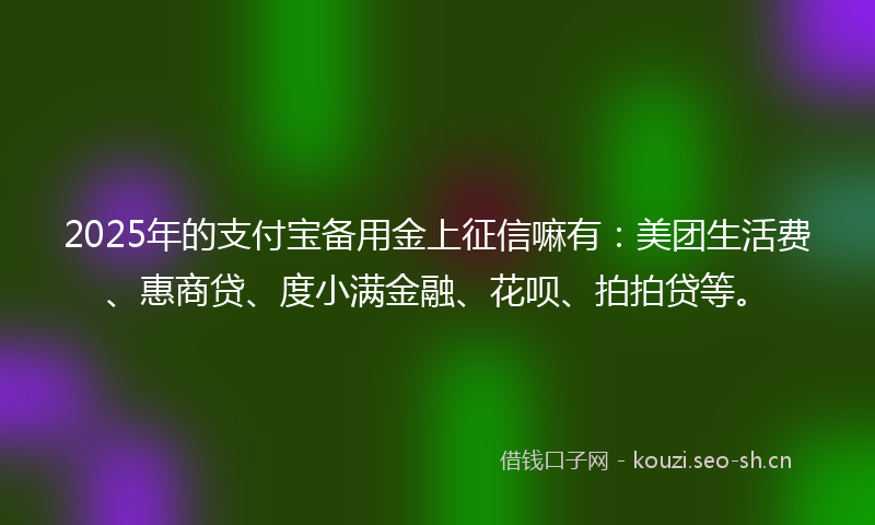 2025年的支付宝备用金上征信嘛有：美团生活费、惠商贷、度小满金融、花呗、拍拍贷等。