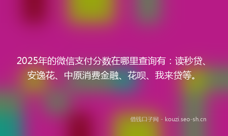 2025年的微信支付分数在哪里查询有：读秒贷、安逸花、中原消费金融、花呗、我来贷等。