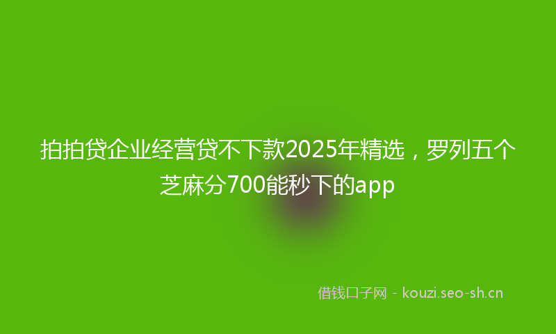 拍拍贷企业经营贷不下款2025年精选，罗列五个芝麻分700能秒下的app