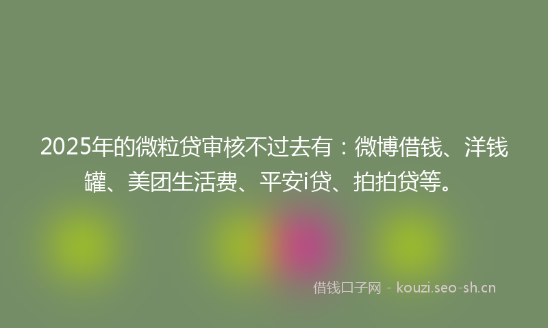2025年的微粒贷审核不过去有：微博借钱、洋钱罐、美团生活费、平安i贷、拍拍贷等。