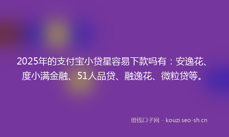 2025年的支付宝小贷星容易下款吗有：安逸花、度小满金融、51人品贷、融逸花、微粒贷等。