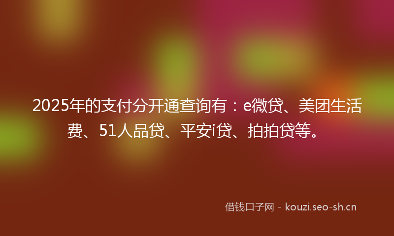 2025年的支付分开通查询有：e微贷、美团生活费、51人品贷、平安i贷、拍拍贷等。