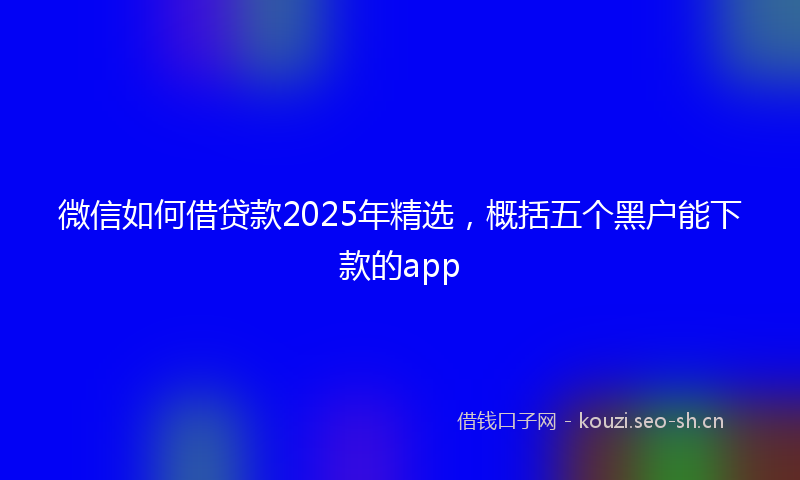 微信如何借贷款2025年精选，概括五个黑户能下款的app