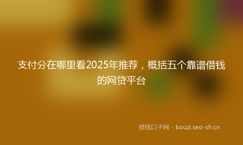 支付分在哪里看2025年推荐，概括五个靠谱借钱的网贷平台