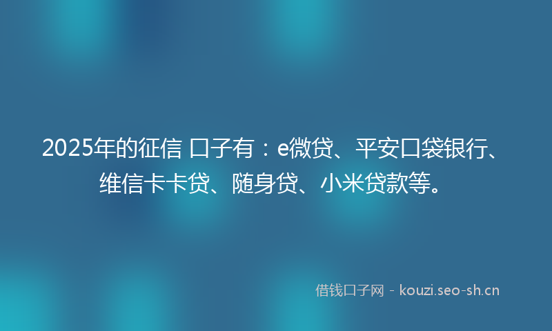 2025年的征信 口子有：e微贷、平安口袋银行、维信卡卡贷、随身贷、小米贷款等。