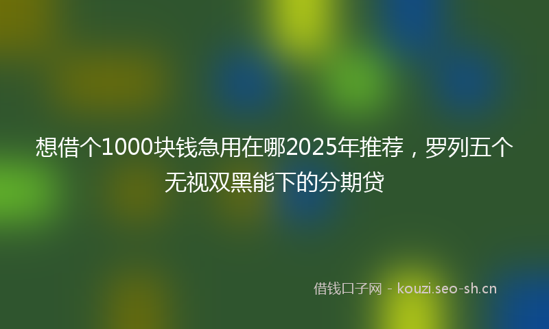 想借个1000块钱急用在哪2025年推荐,罗列五个无视双黑能下的分期贷