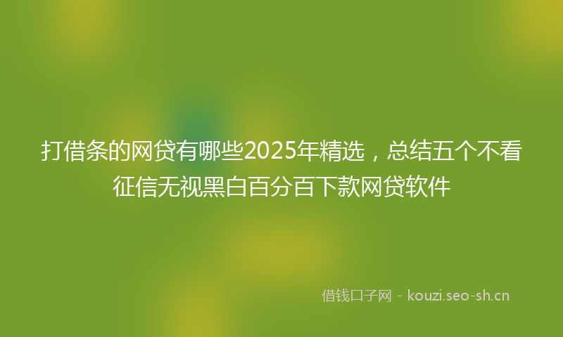 打借条的网贷有哪些2025年精选，总结五个不看征信无视黑白百分百下款网贷软件