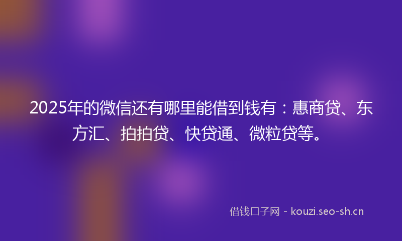 2025年的微信还有哪里能借到钱有：惠商贷、东方汇、拍拍贷、快贷通、微粒贷等。