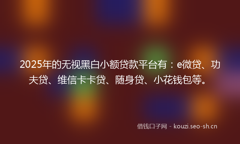 2025年的无视黑白小额贷款平台有：e微贷、功夫贷、维信卡卡贷、随身贷、小花钱包等。