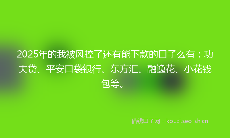 2025年的我被风控了还有能下款的口子么有：功夫贷、平安口袋银行、东方汇、融逸花、小花钱包等。